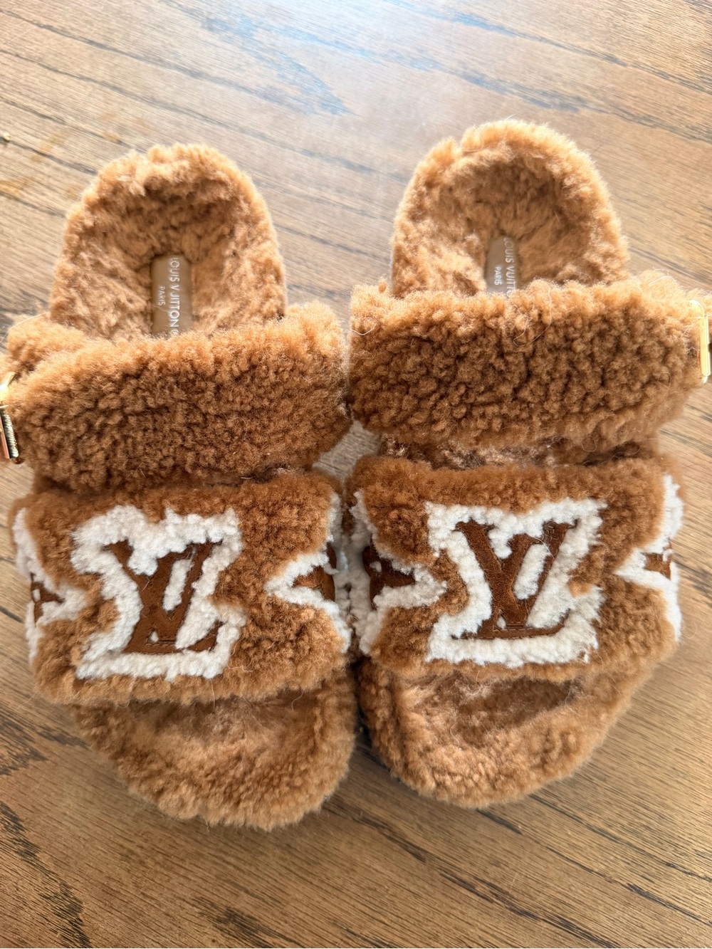 Louis Vuitton Paseo Flat Comfort Mules